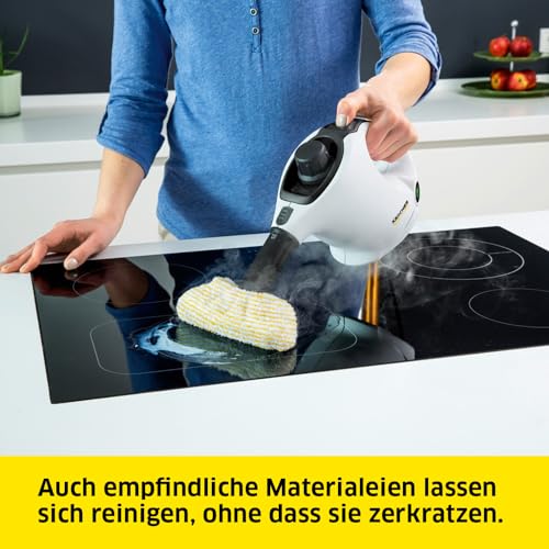 Dampfreiniger