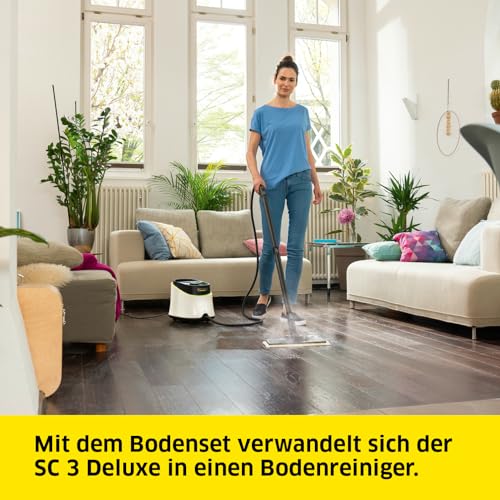 Dampfreiniger